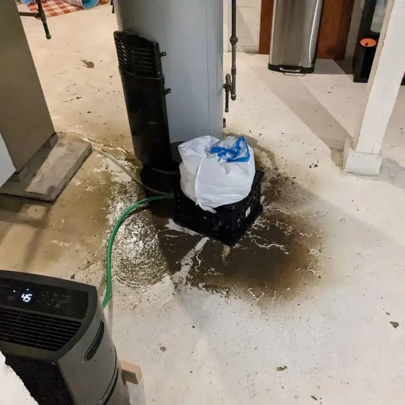 Sewage Backup Cleanup Service in Galateo, PR